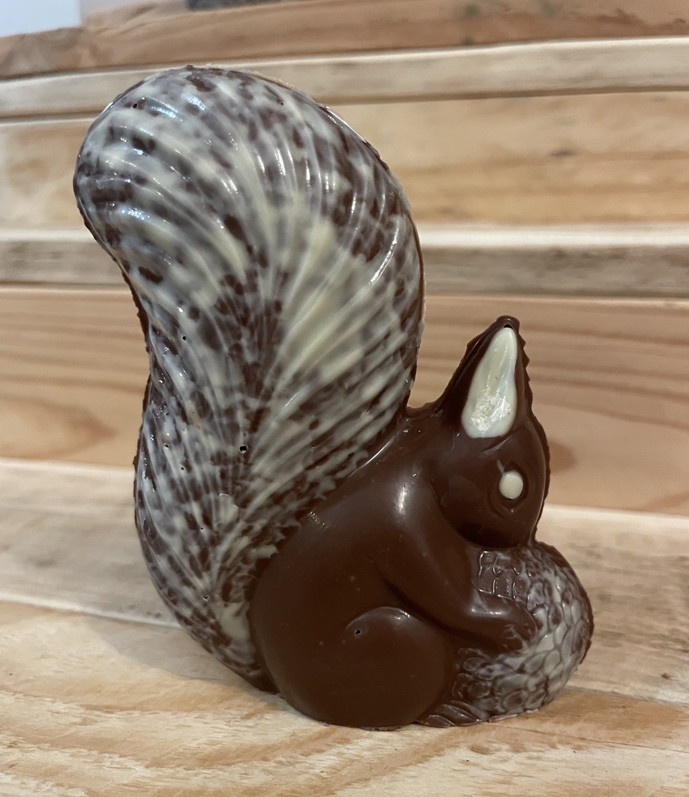 Chocolat Eugène l'Écureuil